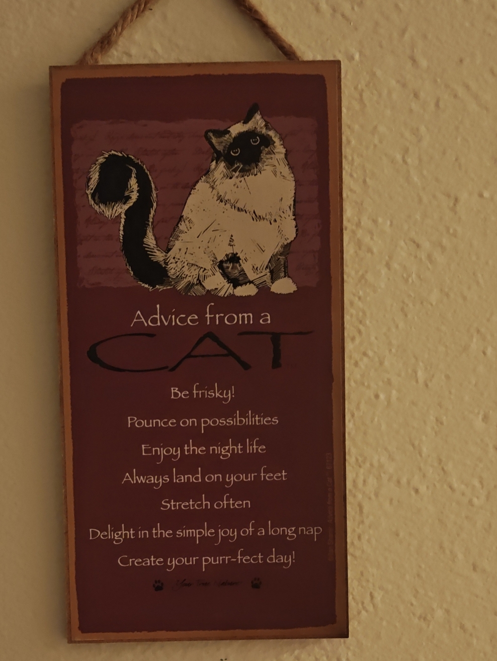 Cat Advice Wall Plaque - Burgundy Cat Decor